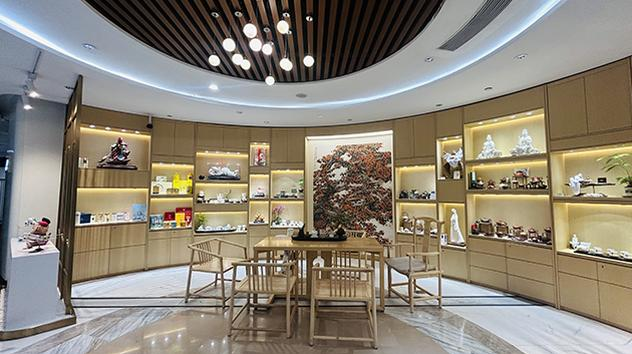 China Southern First/Business Class Lounge