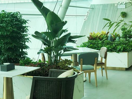 Air China Premium Lounge