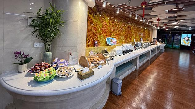 China Southern First/Business Class Lounge