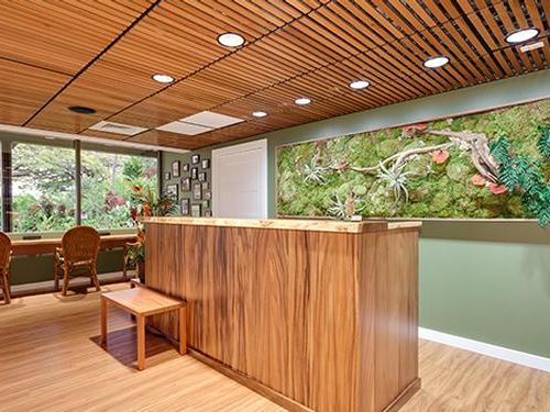 I.A.S.S Hawaii Lounge