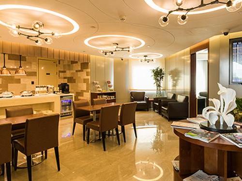 AVINEX VIP