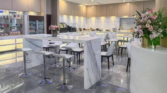 Air Changan VIP Lounge V36