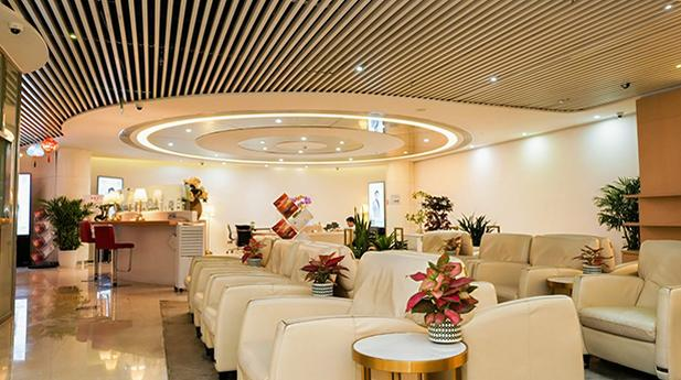 China Southern Gold/Silver/Elite Plus Lounge V3