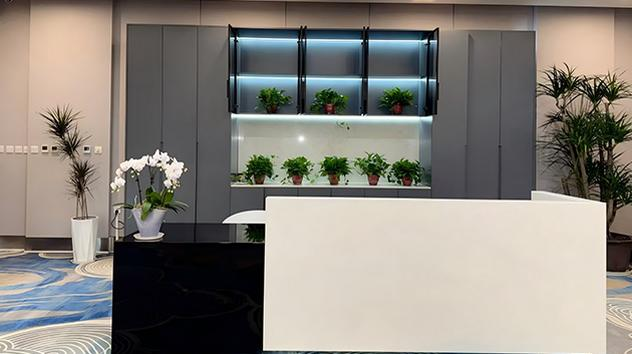 First & Business VIP Lounge