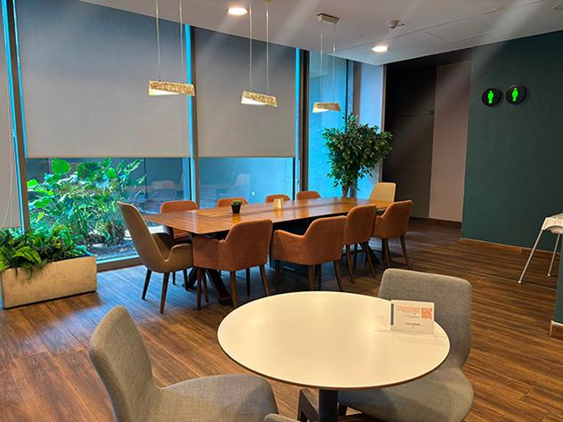 CIP Lounge Domestic