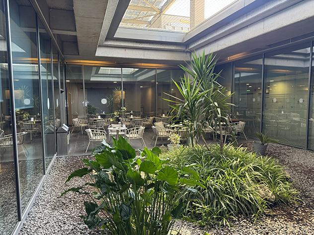 CIP Lounge Domestic