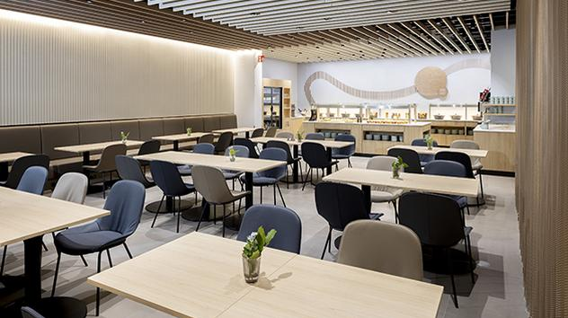 Dus Rhein Lounge